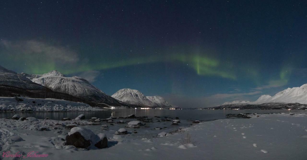 Apartamento Sjursnes Fjordferie Exterior foto