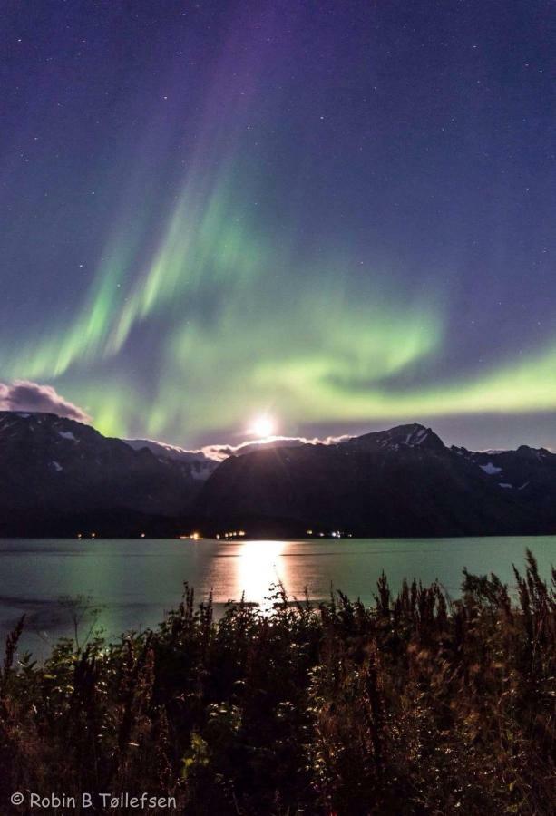 Apartamento Sjursnes Fjordferie Exterior foto