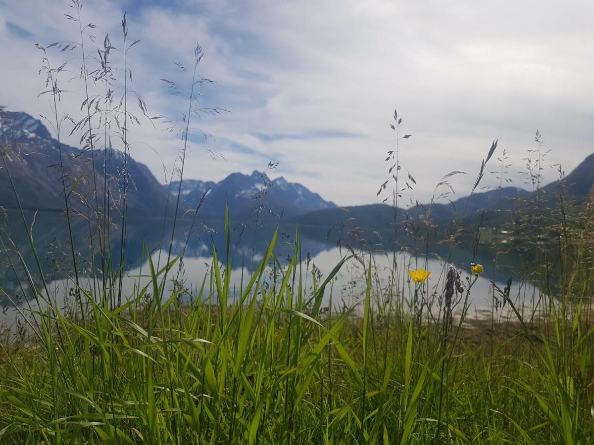 Apartamento Sjursnes Fjordferie Exterior foto
